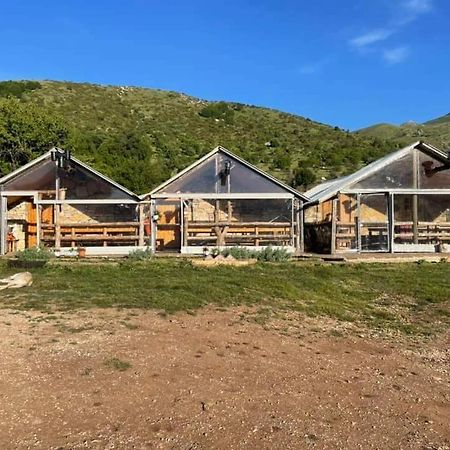 Camping Cajupi Gjirokastër Exterior foto